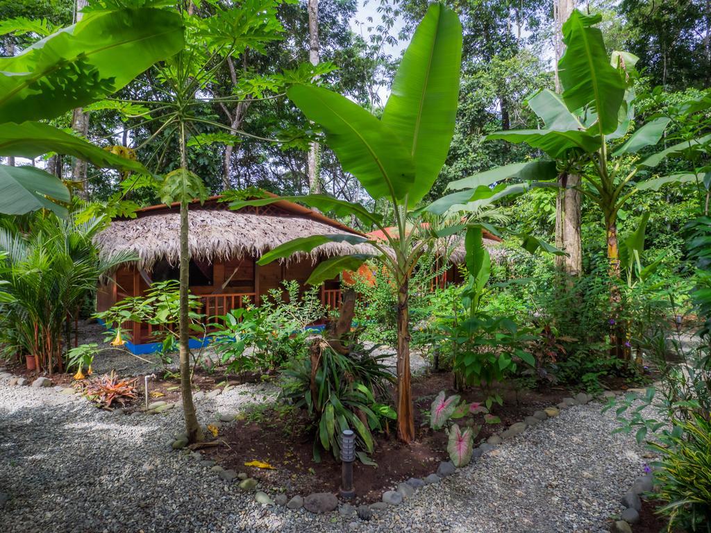Casitas Las Flores Puerto Viejo de Talamanca Cameră foto